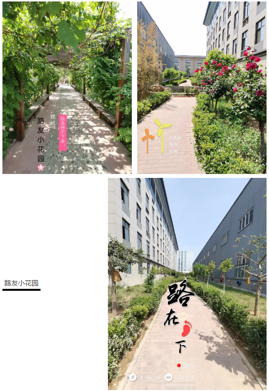 漂亮的路友小花園